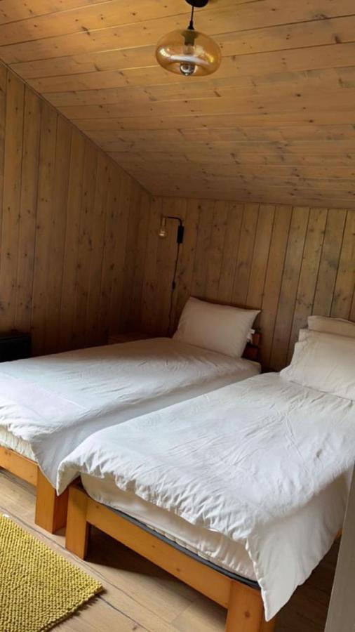 Chalet Luxueux Châtel Extérieur photo