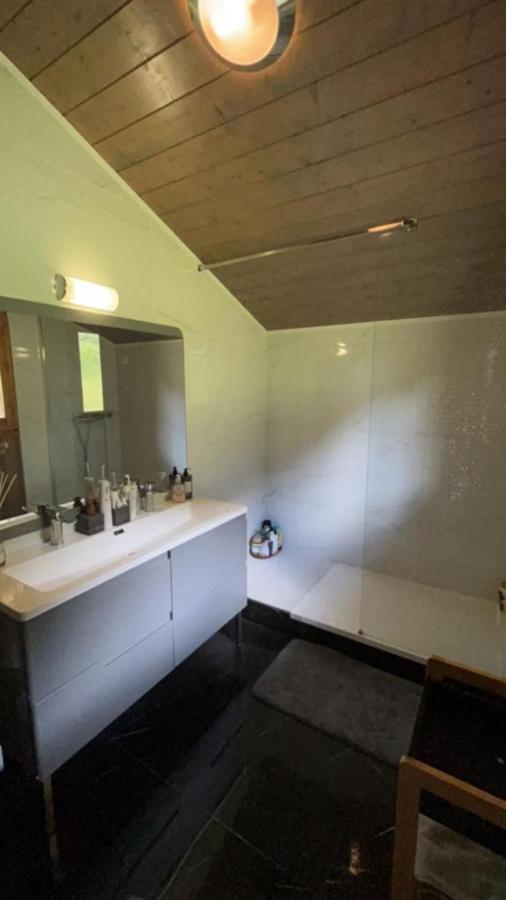 Chalet Luxueux Châtel Extérieur photo