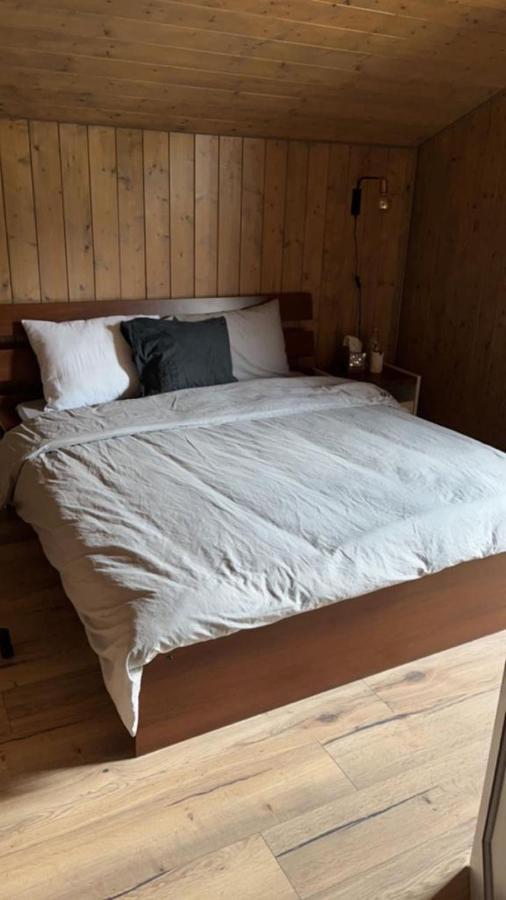 Chalet Luxueux Châtel Extérieur photo
